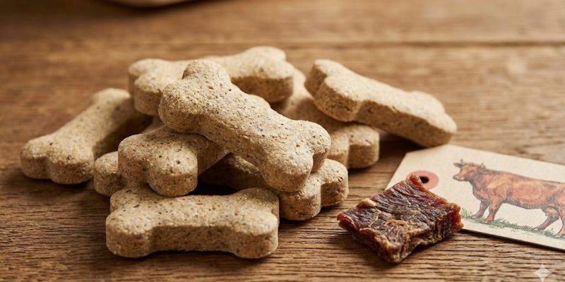 Bone-shaped chewable hip and joint tablets for dogs in beef flavor.