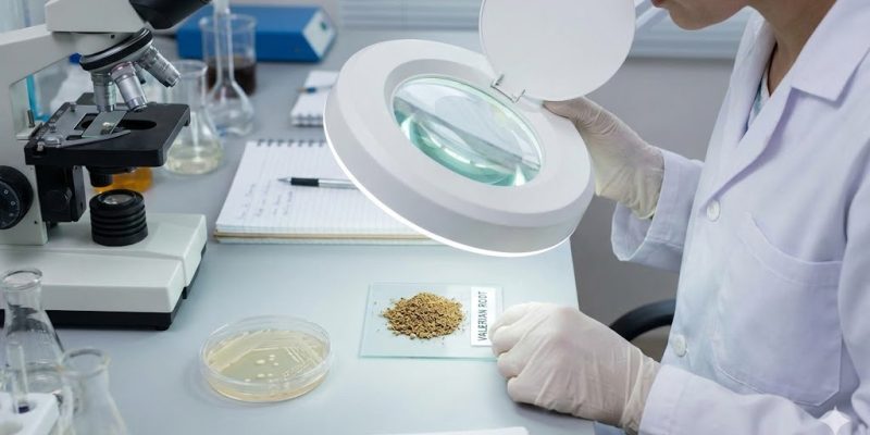 Microbial safety testing for herbal pet ingredients to ensure mold-free manufacturing.