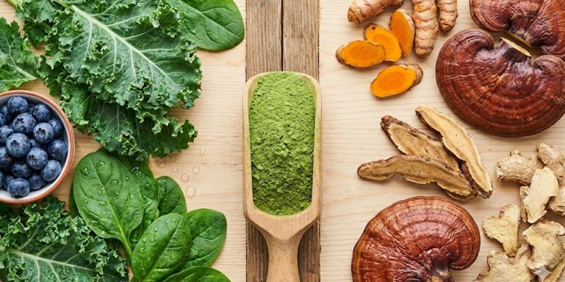 Fresh organic superfoods and dried herbal roots for botanical supplement manufacturing.